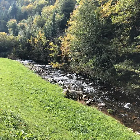 2 Zimmer Wohnung, Mit Sonnenterasse Schoenwald im Schwarzwald Exterior photo