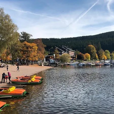 2 Zimmer Wohnung, Mit Sonnenterasse Schoenwald im Schwarzwald Exterior photo