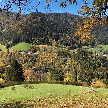 2 Zimmer Wohnung, Mit Sonnenterasse Schoenwald im Schwarzwald Exterior photo