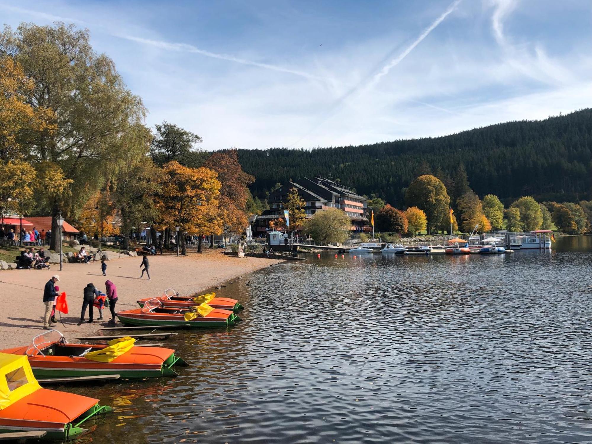 2 Wohnung, Mit Sonnenterasse * Schoenwald im Schwarzwald