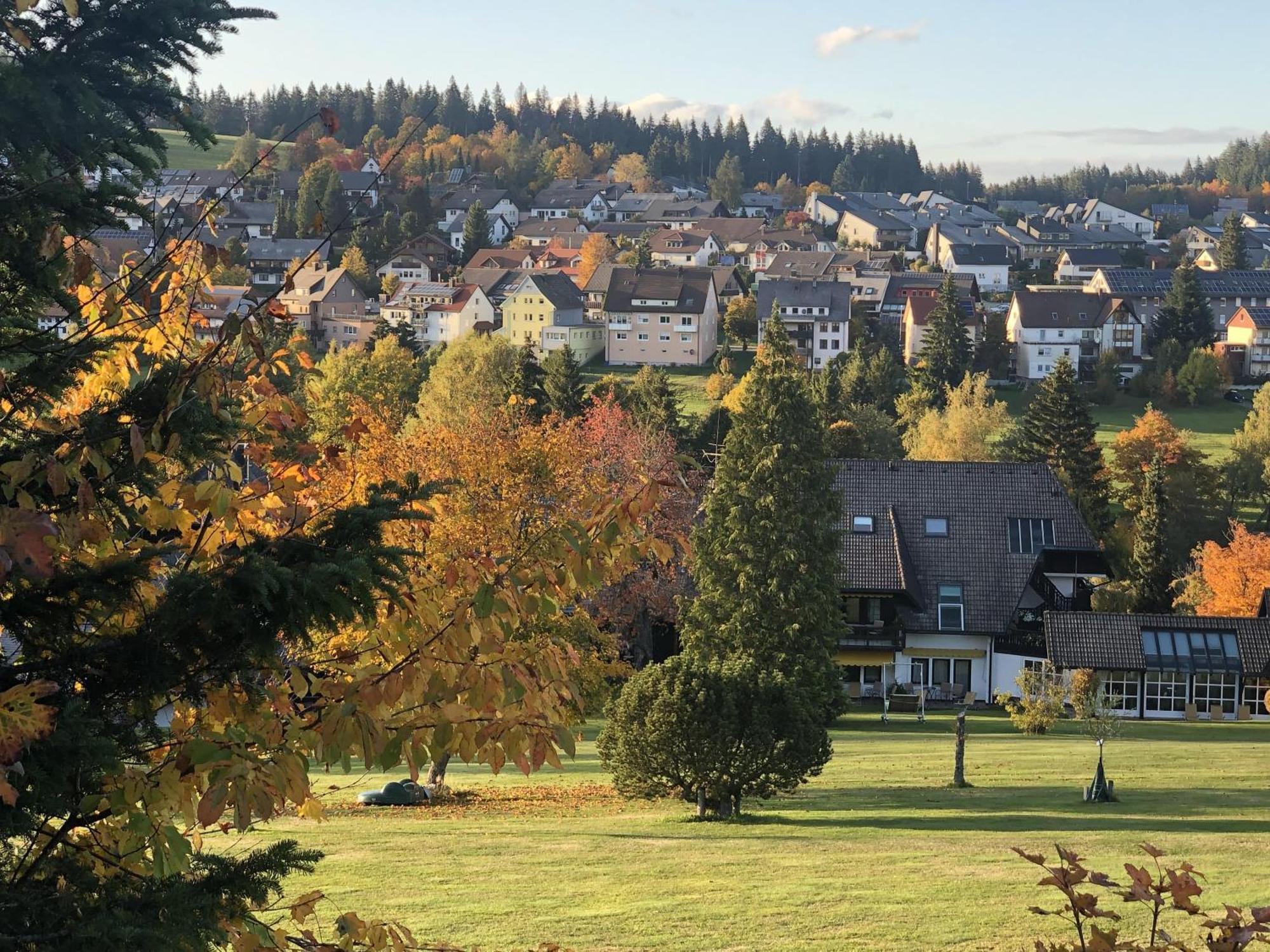 Apartment 2 Wohnung, Mit Sonnenterasse Schoenwald im Schwarzwald